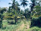 4 Acre Coconut Land for Sale in Anamaduwa