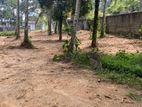 4 Acre land for sale in Padukka - Watareka