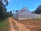 4 Acre Scenic Land for Sale at Imbulpe, Belihuloya.
