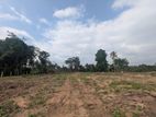 4 Acres Bare Land for Sale Wariyapola, Bamunakotuwa, Munamale