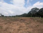 4 Acres Bare Land - Wariyapola, Bamunakotuwa, Munamale