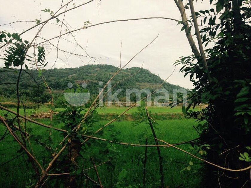 4 Acres Land Facing Beautiful Paddy Field Water Stream at Pothuhera ikman
