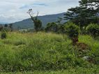 4 acres land for sale in Hanthana.(9km to kandy hospital)