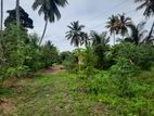 4 Acres Land For Sale In Ja Ela - ( Close to Colombo-Negombo main road )