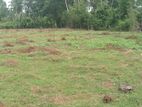 4 Acres Land For Sale Kahadamodara Thangalla