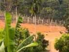 4 Acres Land for Sale Warakapola