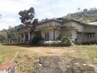 4 Bedroom Bungalow and Tea Estate for Sale in Pusellawa (LC 1669)