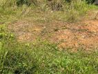 4 Blocks Land For Sale - Kandy | Lewella