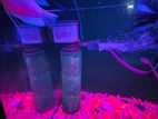 4 Fe Et Fish Tank