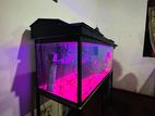 4 Feet Fish Tank