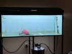 4 Feet Fish Tank