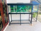 4 Feet Fish Tank