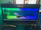 4 Feet Fish Tank