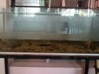 4 Feet Fish Tank
