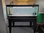 4 Feet Fish Tank