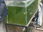 4 Feet Fish Tank