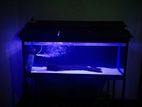 4 Feet Fish Tank