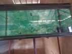 4 Feet Fish Tank