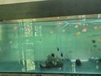 4 Feet Fish Tank