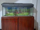 4 feet fish tank with stand