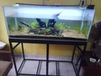 4 Feet Fish Tank with Table, Light and Filter