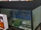 4 Feet Glass Fish Tank with Roof