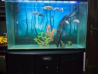 4 Feet Fish Tank