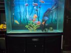 4 Feet Fish Tank Full Set