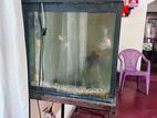Ft Fish Tank with Accesories