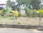 4 Perch 20 Ft Gated Community Location Land for Sale Piliyandala