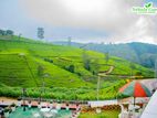 4 Story Luxury Tourist Hotel for Sale in Nuwara Eliya.