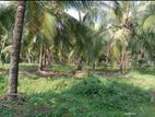 40 Acre Coconut Estate Sale Wellawa,Kurunegala Riverfront Plantation