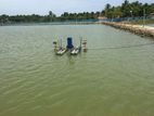 40 acres of Prawn Farm for sale in Kalpitiya
