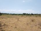 40 Acres Superb Land for Cultivation or Tourism at Wellawaya