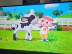40 inches LED TV