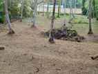 40 P Bare Land for Sale in Duwatemple Road, Kalutara South (sl 14603)