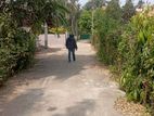 40 Perch Land For Sale Bandarawaththa Seeduwa Gampaha