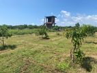 40 Perch Land for Sale in Bataatha
