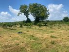 40 PERCH LAND For SALE in HAMBANTOTA Bataathe
