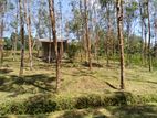 40 Perch Land for sale in Handapangoda