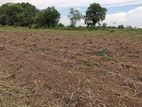 40 PERCH LAND for SALE in Katunayaka