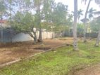 40 Perch Land with House Sale in Dalupotha