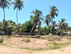 40 Perch Residential Bare Land for Sale in Kurana-Negombo (C7-4709)