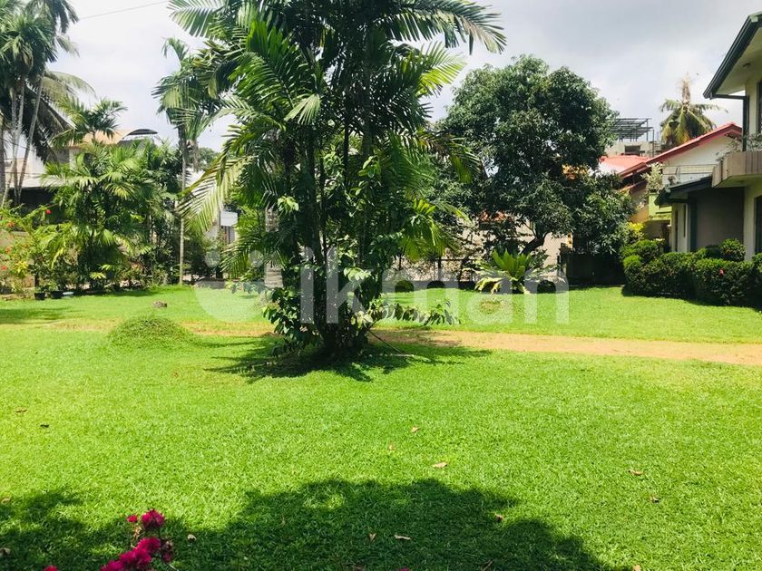 40 Perch Super Land Nugegoda ikman