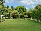 40 perched Thalawathugoda valuable Highly residence Land For Sale
