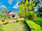 40 Perches Land Beautiful Garden House For Sale In Kandawala Katana Area