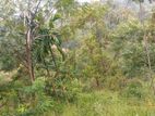 40 Perches Land for Sale - Ella