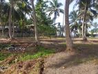 40 Perches Land for Sale Facing Galle Matara Main Road (Land Side)