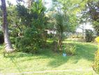 40 Perches Land for Sale in Dehiwela