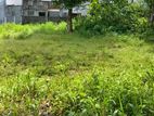 40 Perches of Land for Sale in Dehiwala